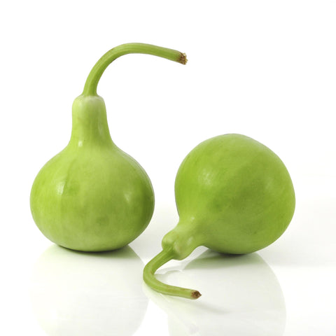Bottle Gourd