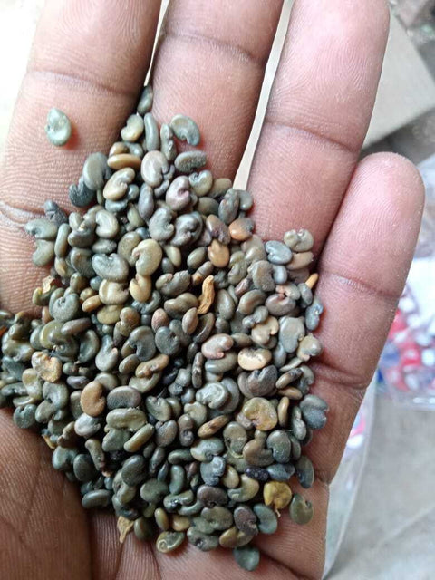 Sanappu Vithai 250 Gram