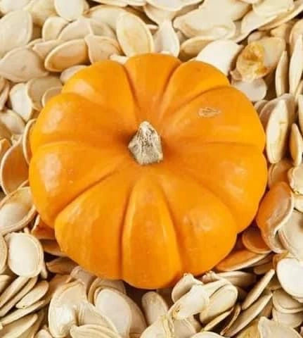 Big Red Pumpkin