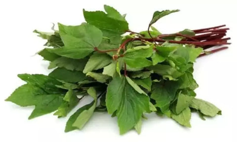 Wild Gongura