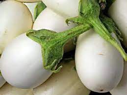 Sivakasi Green & White Brinjal