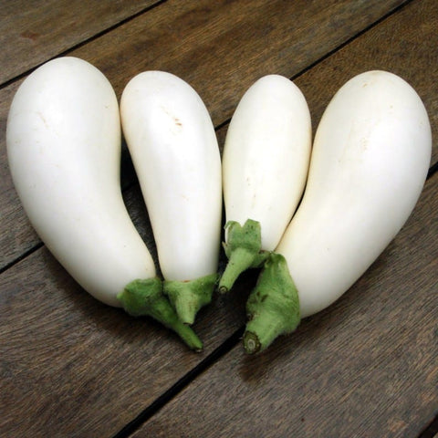 White Long Brinjal
