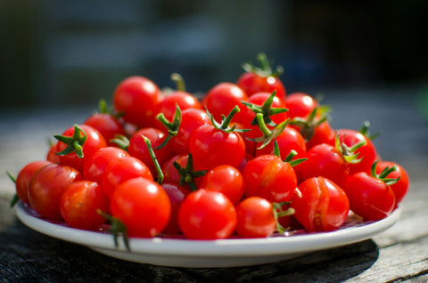 RED CHERRY TOMOTTO - SMALL